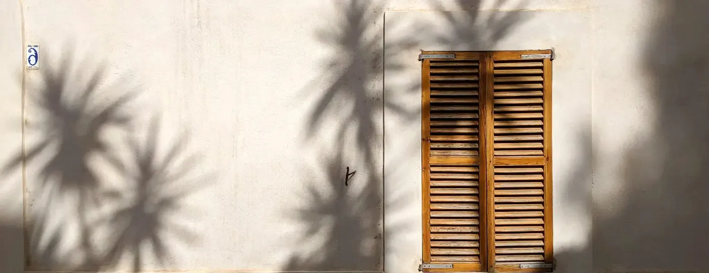 Palm shadows falling across a white stucco wall and a wooden shutter